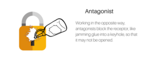 METAPHOR FOR WHAT AN ANTAGONIST MEDICATION IS FOR OPIOID USE DISORDER