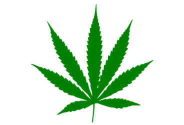 cannabis abstinence in adolescents improves memory