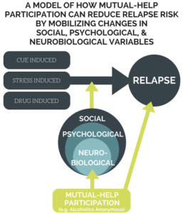 MODEL OF HOW MUTUAL-HELP PARTICIPATION CAN REDUCE RELAPSE RISK BY MOBILIZING SOCIAL, PSYCHOLOGICAL, & NEUROBIOLOGICAL VARIABLES
