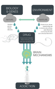 INFOGRAPHIC ON HOW DIFFERENT COMPONENTS OF NATURE AND NURTURE EFFECT ONES LIKELIHOOD OF DEVELOPING AN ADDICTION OR SUBSTANCE USE DISORDER