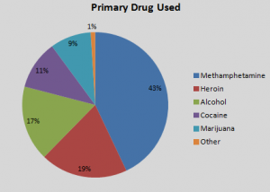 Addiction Recovery Research Pie Chart Graph