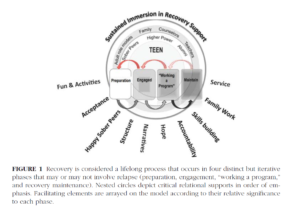 Research Infographic, chart, figure