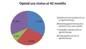 Addiction Recovery Research Pie Chart Graph