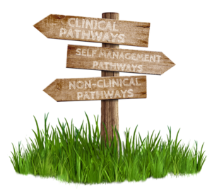Signpost showing the different pathways to treatment and recovery with clinical, non-clinical, and self-managed routes
