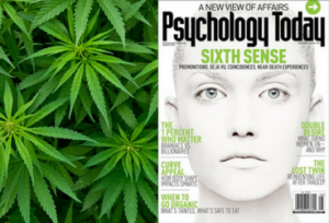 Psychology Today Blog - Dr. John F. Kelly - Marijuana Legalization and Answers to Our -'Drug Problems'