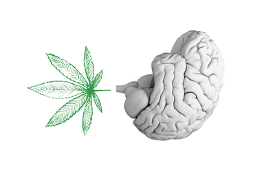 How to Measure Weed Without Scales