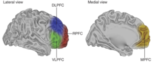 Addicted Human brain image